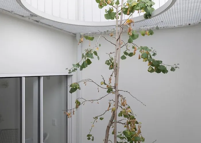 Architectural Gem In Santa Catarina *