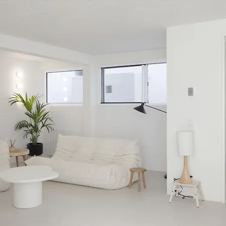 Architectural Gem In Santa Catarina Apartment