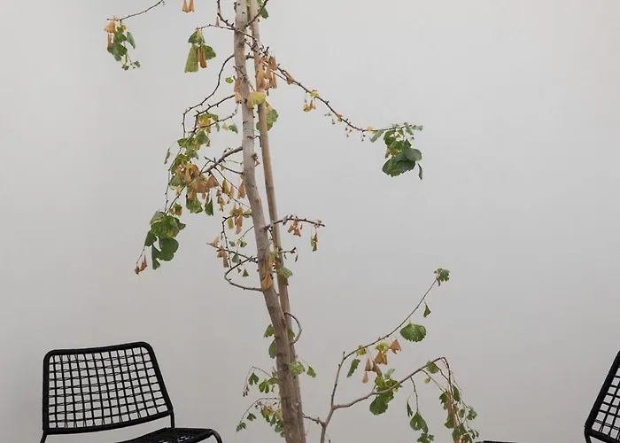 Architectural Gem In Santa Catarina Apartamento *