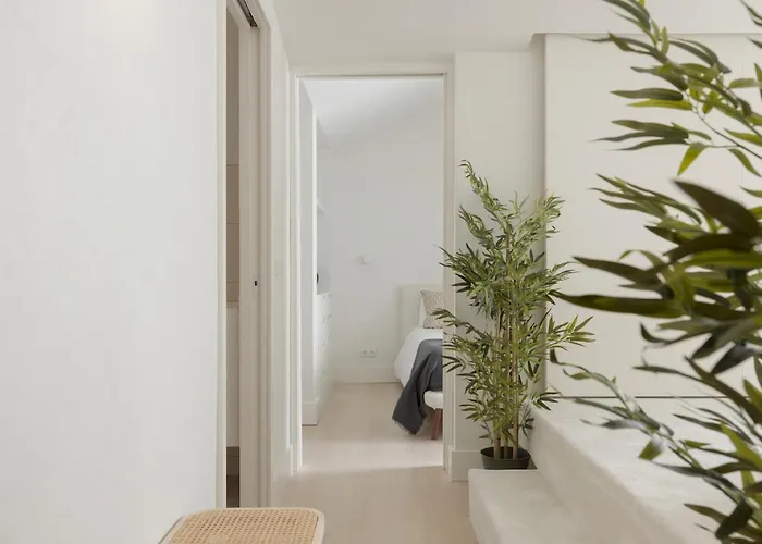 Architectural Gem In Santa Catarina *